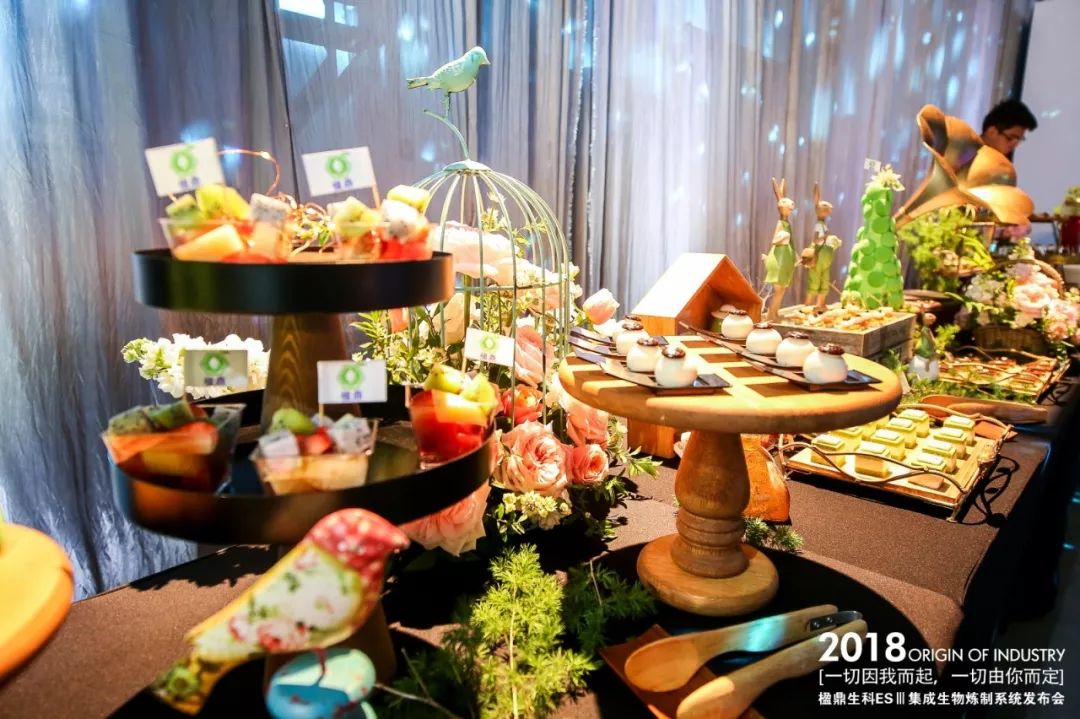 發(fā)布會(huì)活動(dòng)策劃案例：楹鼎生科ES Ⅲ集成生物煉制系統(tǒng)發(fā)布會(huì)